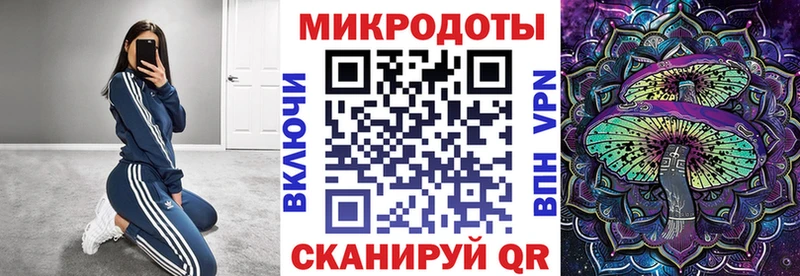 Псилоцибиновые грибы Cubensis  Купить закладки  Жуков 